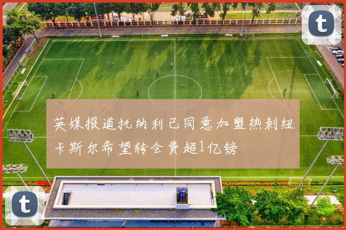 英媒报道托纳利已同意加盟热刺纽卡斯尔希望转会费超1亿镑